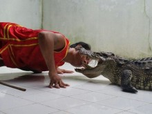 Crocodile & Snake Show Koh Chang