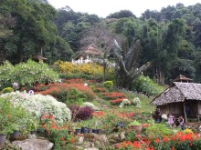 Doi Pui Tribal Village and National Park