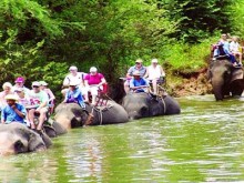 Hua Hin Elephant Village