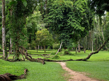 Khao Phanom Bencha National Park