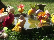 Paradise Park Farm