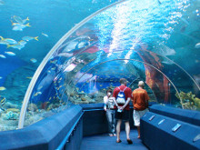 Podmořský svět Pattaya