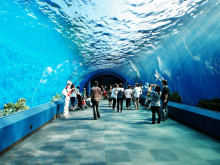 Siam Ocean World