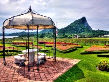 Pattaya Silver Lake vineyard