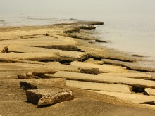 Susan Hoi (Shell Cemetery)